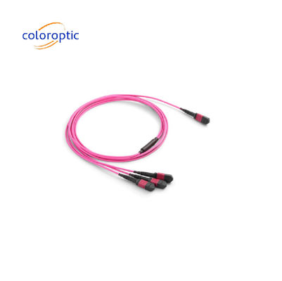 MTP / MPO Multimode Single Mode Fiber Patch Cable 40G / 100G Compatibile con OM3 / OM4