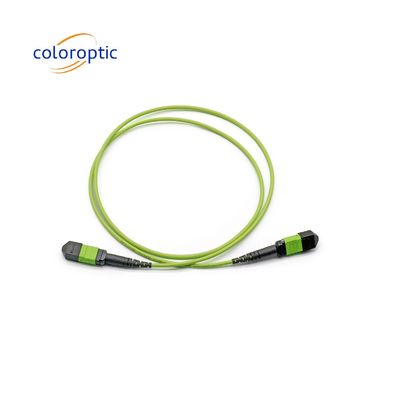 Connettore MTP a patch cord monouso G652D / G657A1 / G657A2 Fibra