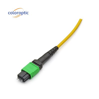 MTP APC cavo ottico da femmina a femmina 10/40G SM 3M PVC / LSZH