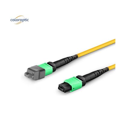 Cavo ottico MPO mono-modo di fibra OM3 con giacca in PVC