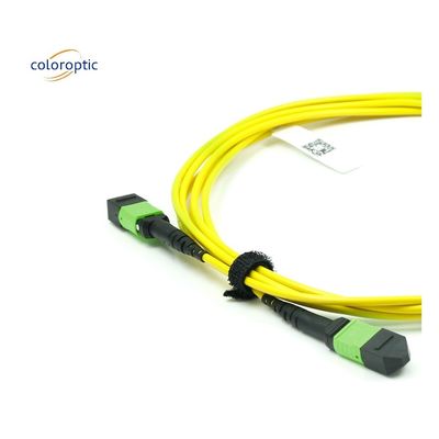 Cavo ottico MPO mono-modo di fibra OM3 con giacca in PVC