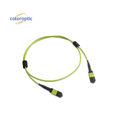 Multi fibre MPO Patch Cord PVC Jacket 12 Core OM5 Femminile a Femminile connettore PC lucidatura