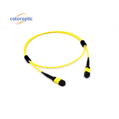 Mtp(Mpo) Cable di patch Single-mode 12 Fibre Tipo B Femminile a connettore femminile Pc lucidatura
