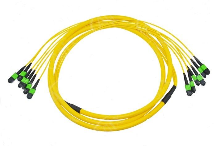 12 core MPO Fiber Patch Cable per l'interconnessione di cablaggio del data center