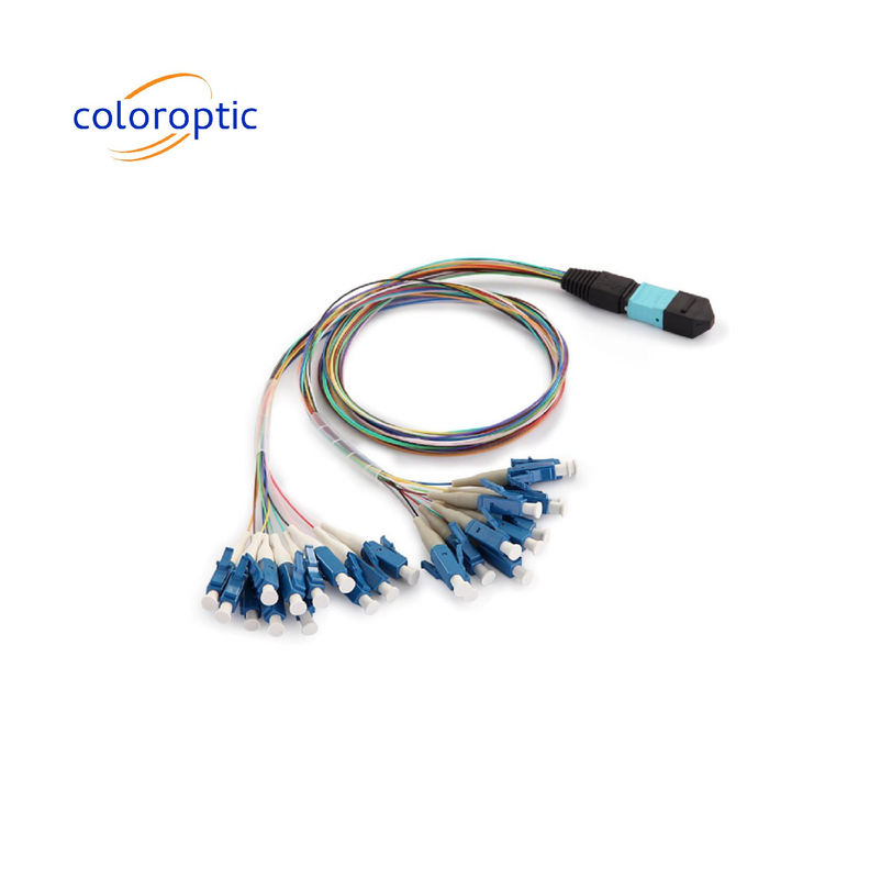 Cable Hydra OM3 / OM4 Mpo 24 connettore