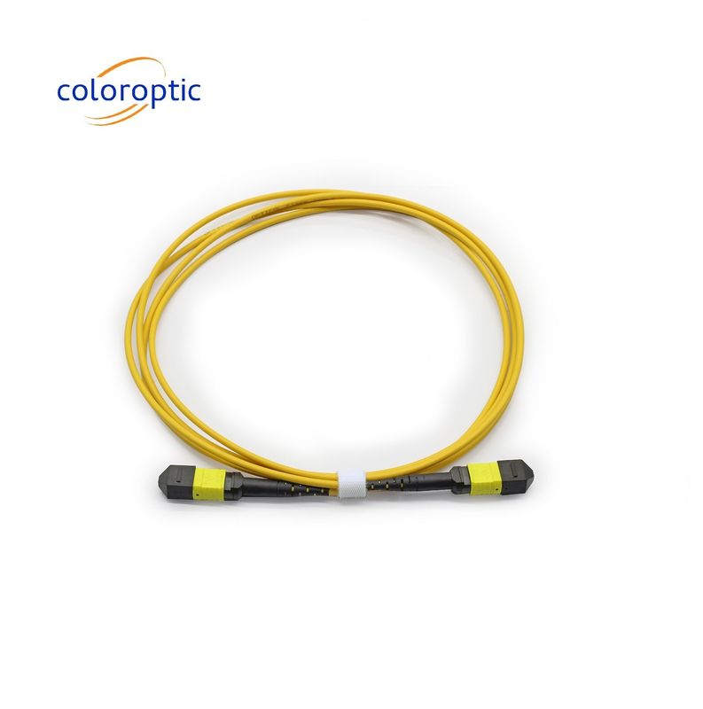 MTP APC cavo ottico da femmina a femmina 10/40G SM 3M PVC / LSZH