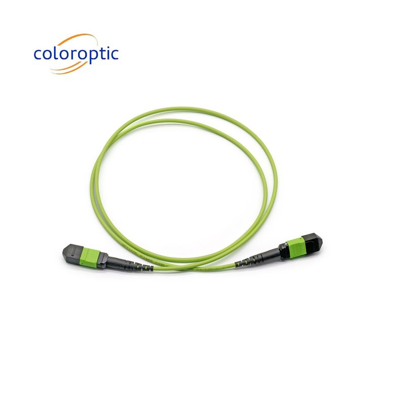 Connettore MTP a patch cord monouso G652D / G657A1 / G657A2 Fibra