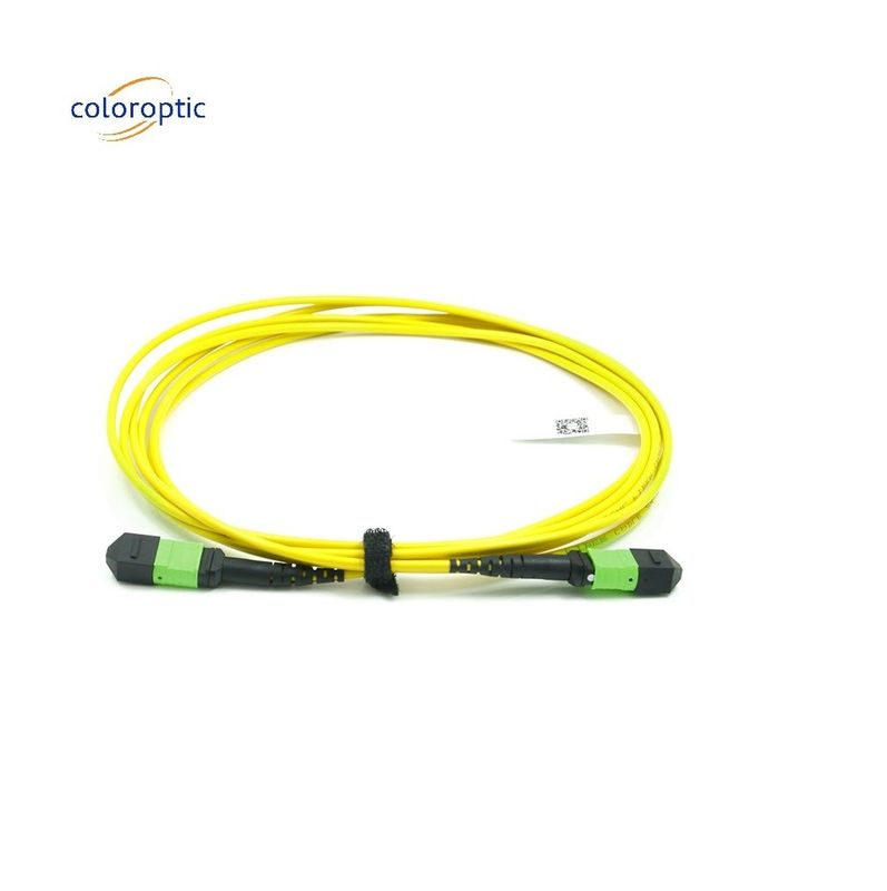 Corde di patch in singolo modo ottico passivo MPO-12 / APC-to-MPO12 / APC