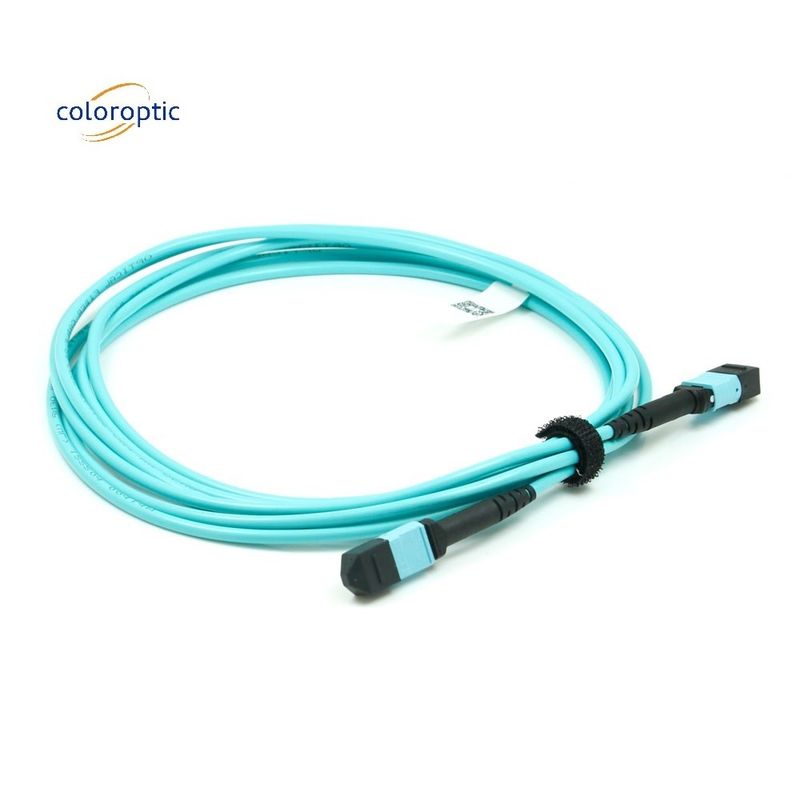 Cable a cordone patch con connettore MPO per reti di telecomunicazione