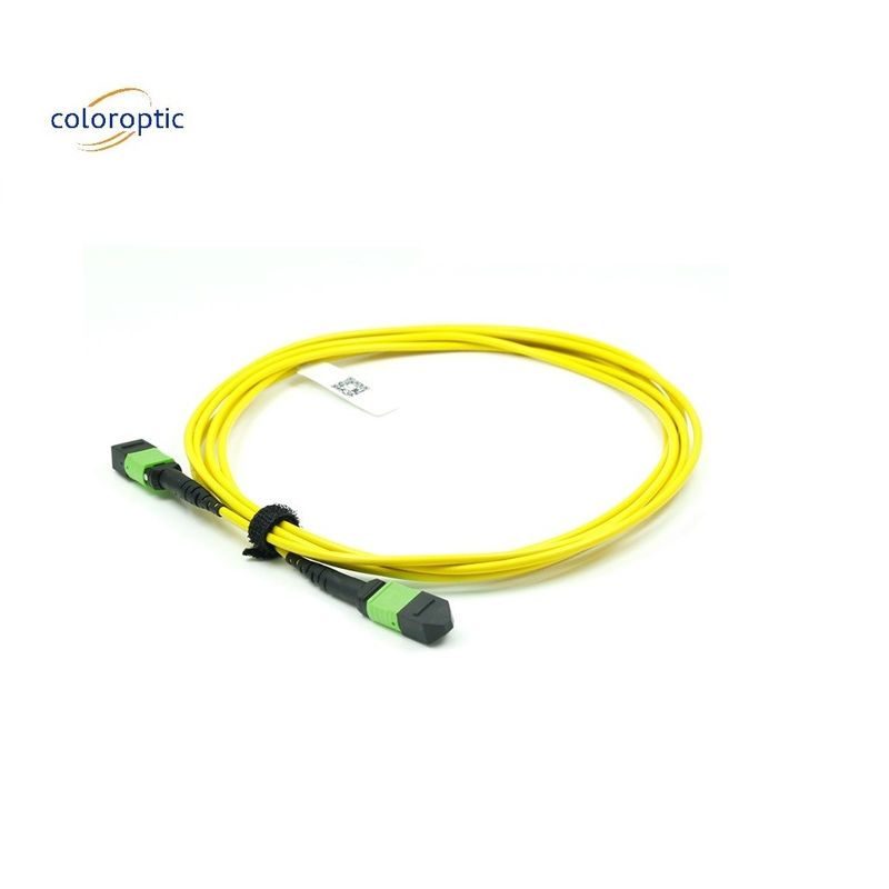 OM3 MPO Patch Cord 12 Core Aqua Fiber Optic Connector per una rete efficiente