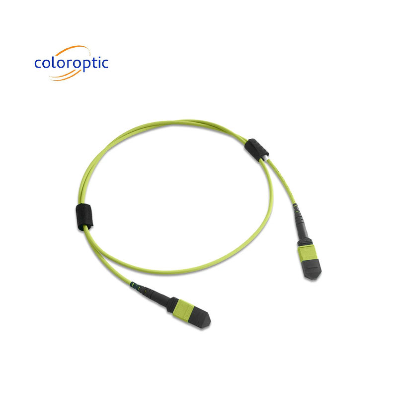 Multi fibre MPO Patch Cord PVC Jacket 12 Core OM5 Femminile a Femminile connettore PC lucidatura