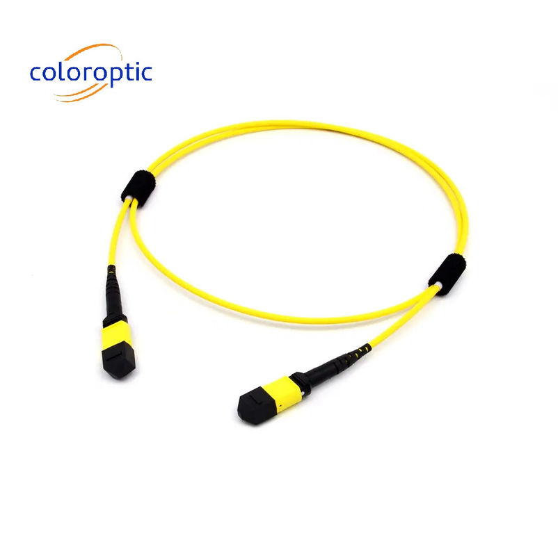 Cable di patch per SR8 400G QSFP-DD e OSFP 400G SR8 PAM4