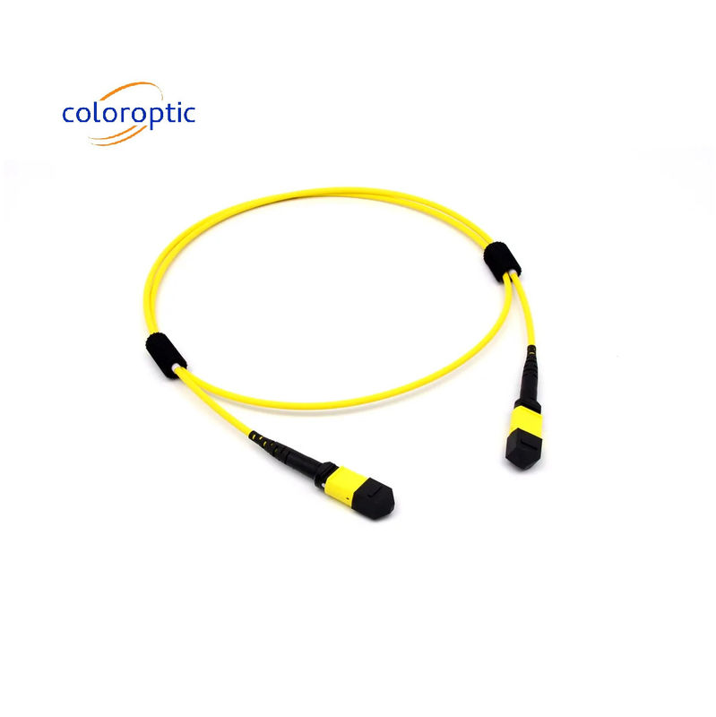 Mtp(Mpo) Cable di patch Single-mode 12 Fibre Tipo B Femminile a connettore femminile Pc lucidatura